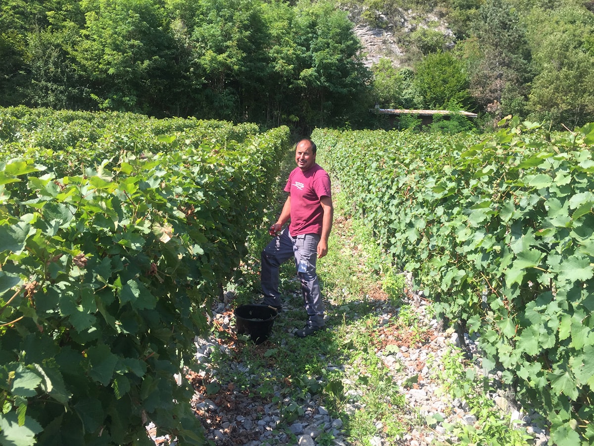 Domaine Bouvet