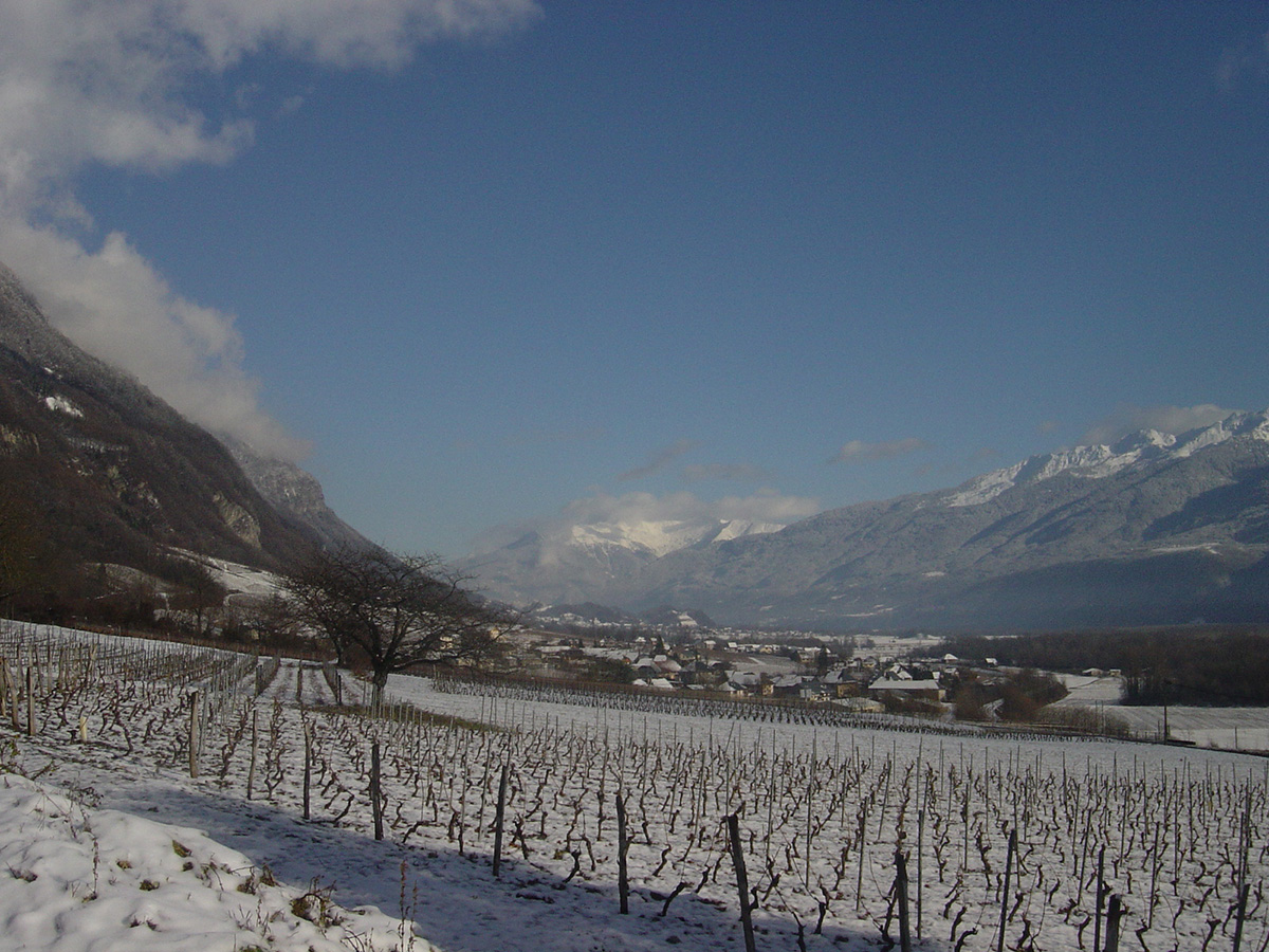Domaine Bouvet