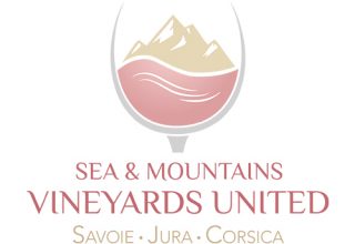 sea and mountains vineyard