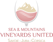 Site Sea & Mountains Vineyard