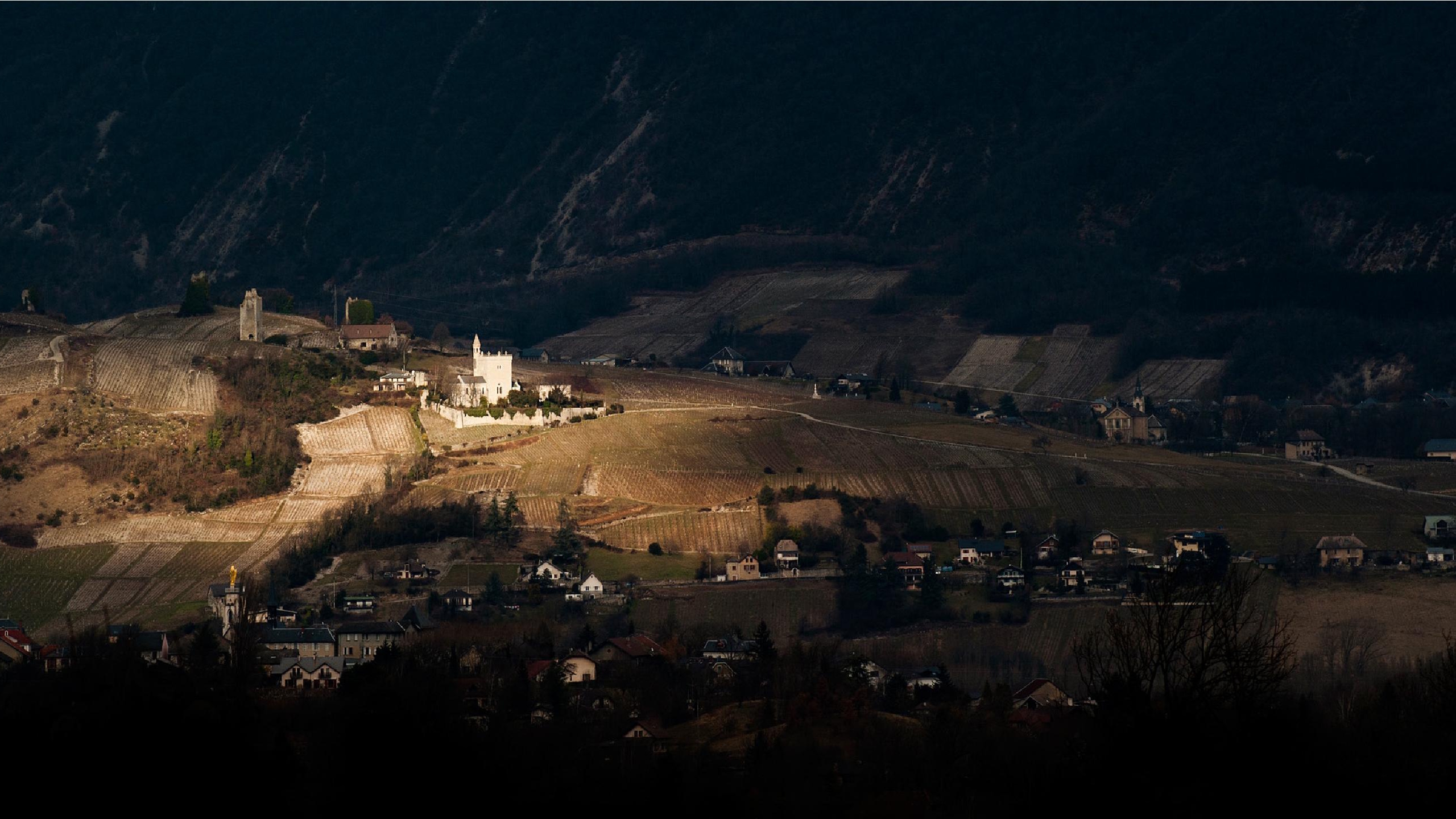 domaine-vin_de_savoie