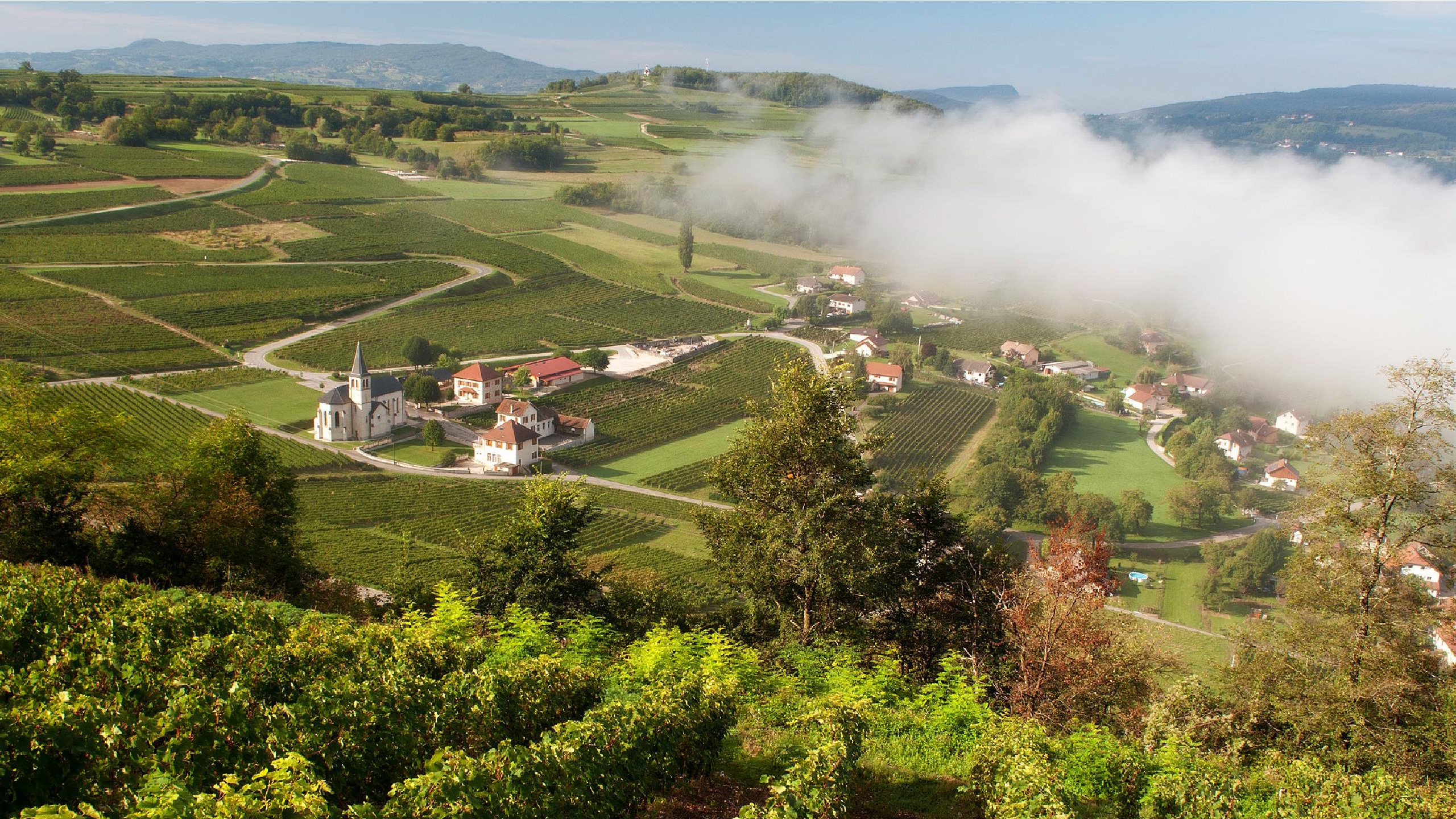 vigne_6-vins_de_savoie