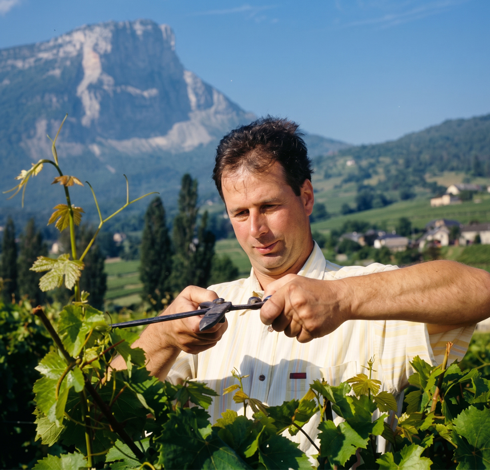 transition_familliale-vins_de_savoie