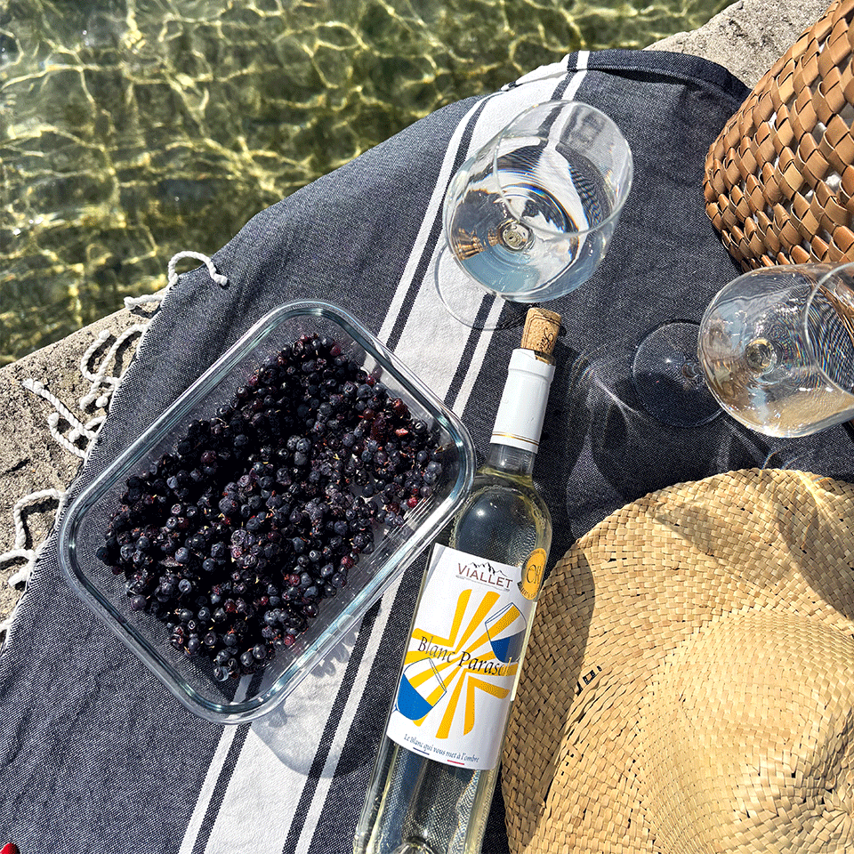 blanc-parasol-vins_de_savoie